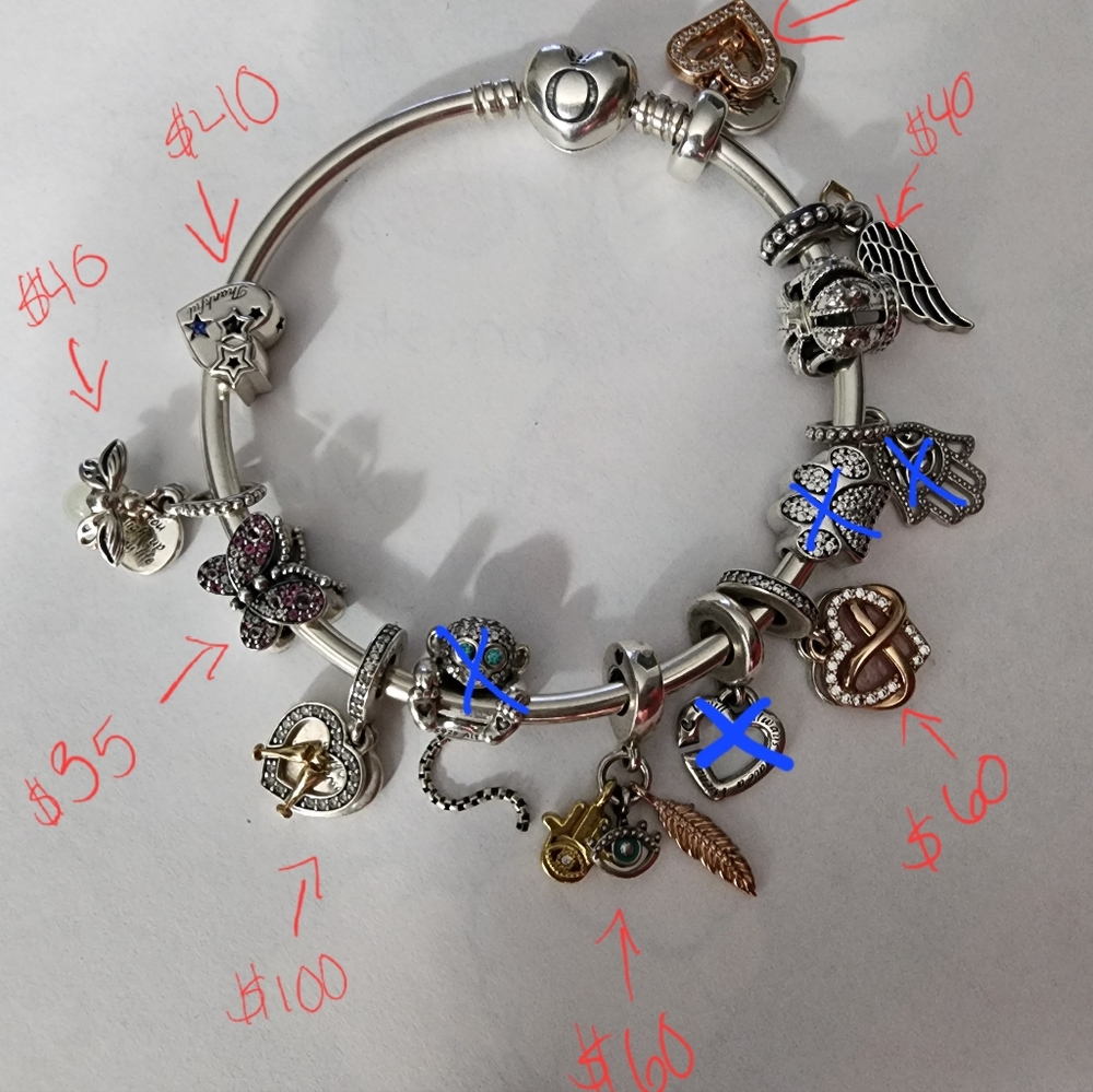 Pandora Charms and Ring